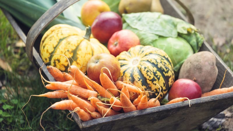 13 nápadů, jak chutně naložit s podzimní úrodou