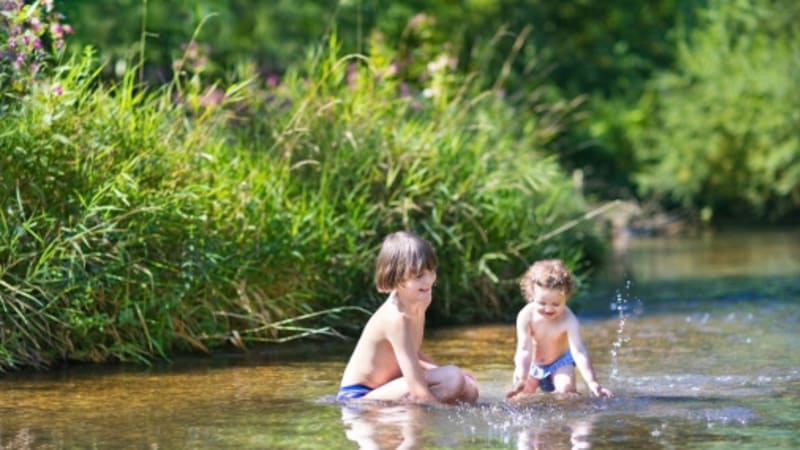 Zelené nebezpečí: Sinice v řekách a rybnících vám mohou poškodit oči i játra!