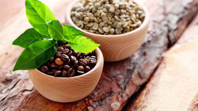 Zelená káva jako prostředek na hubnutí: Opravdu to funguje?