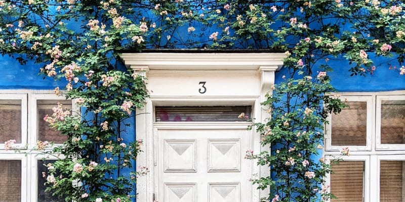Nejkrásnější rozkvetlé dveře Londýna 9