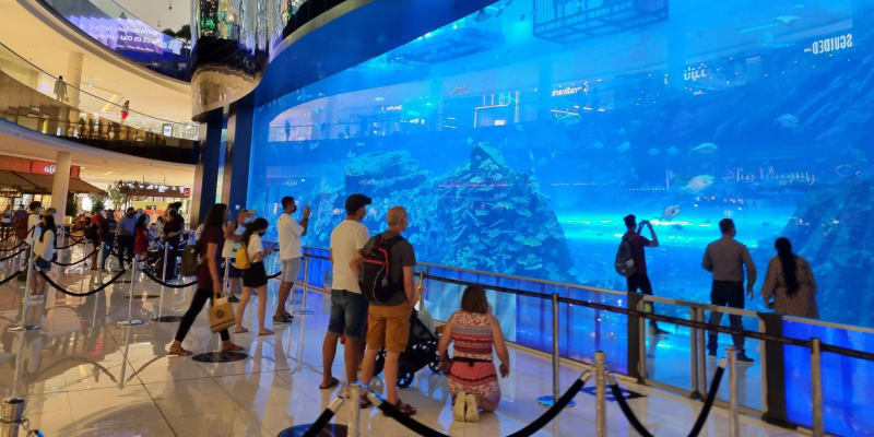 V Dubai Mall se nachází akvárium i podmořská zoo.