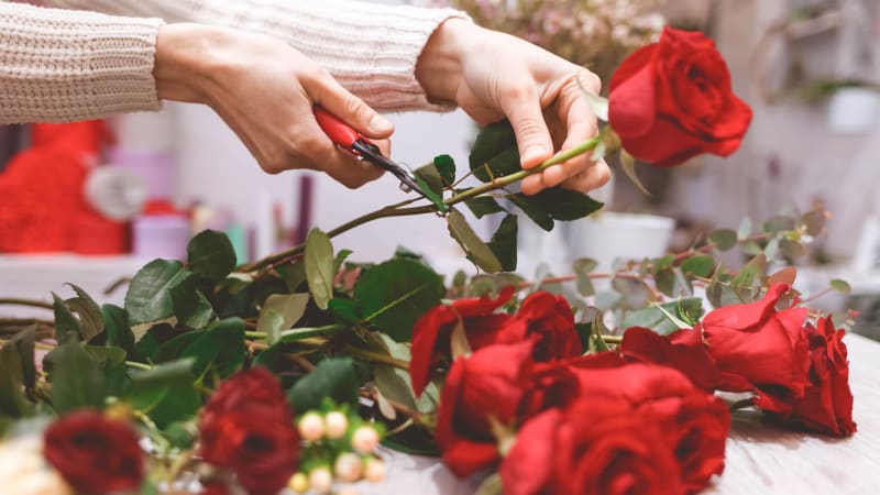 Darujte své lásce květinu: Růže jsou klasika, sukulenty originál