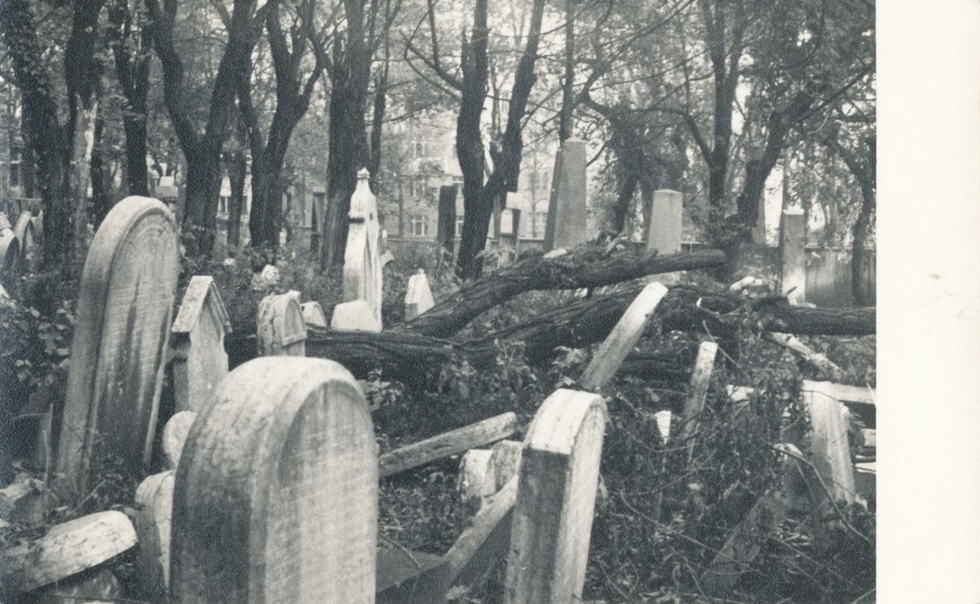 Žižkovský televizní vysílač stojí v parku na místě, kde býval židovský hřbitov