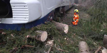 Osobní vlak u Prahy najel na spadlý strom. Mezi Senohraby a Čerčany jezdí náhradní doprava
