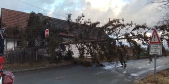 Silný vichr zasáhne Česko. Může vyvracet stromy a poškodit budovy, varují meteorologové