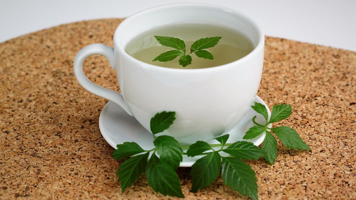 Čaj z čerstvých nebo sušených lístků ještě lépe chutná s kouskem máty či meduňky a oslazený medem.