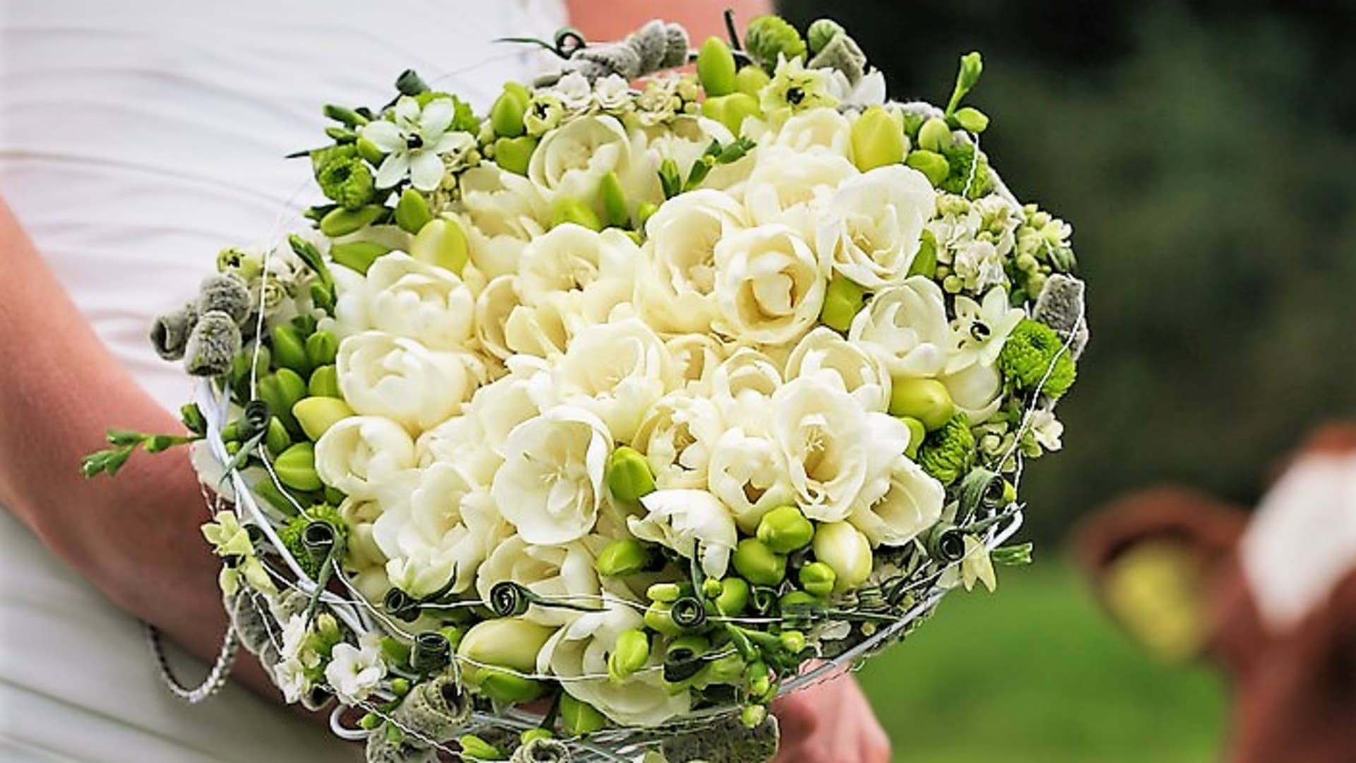 Frézie je oblíbenou květinou do svatebních kytic