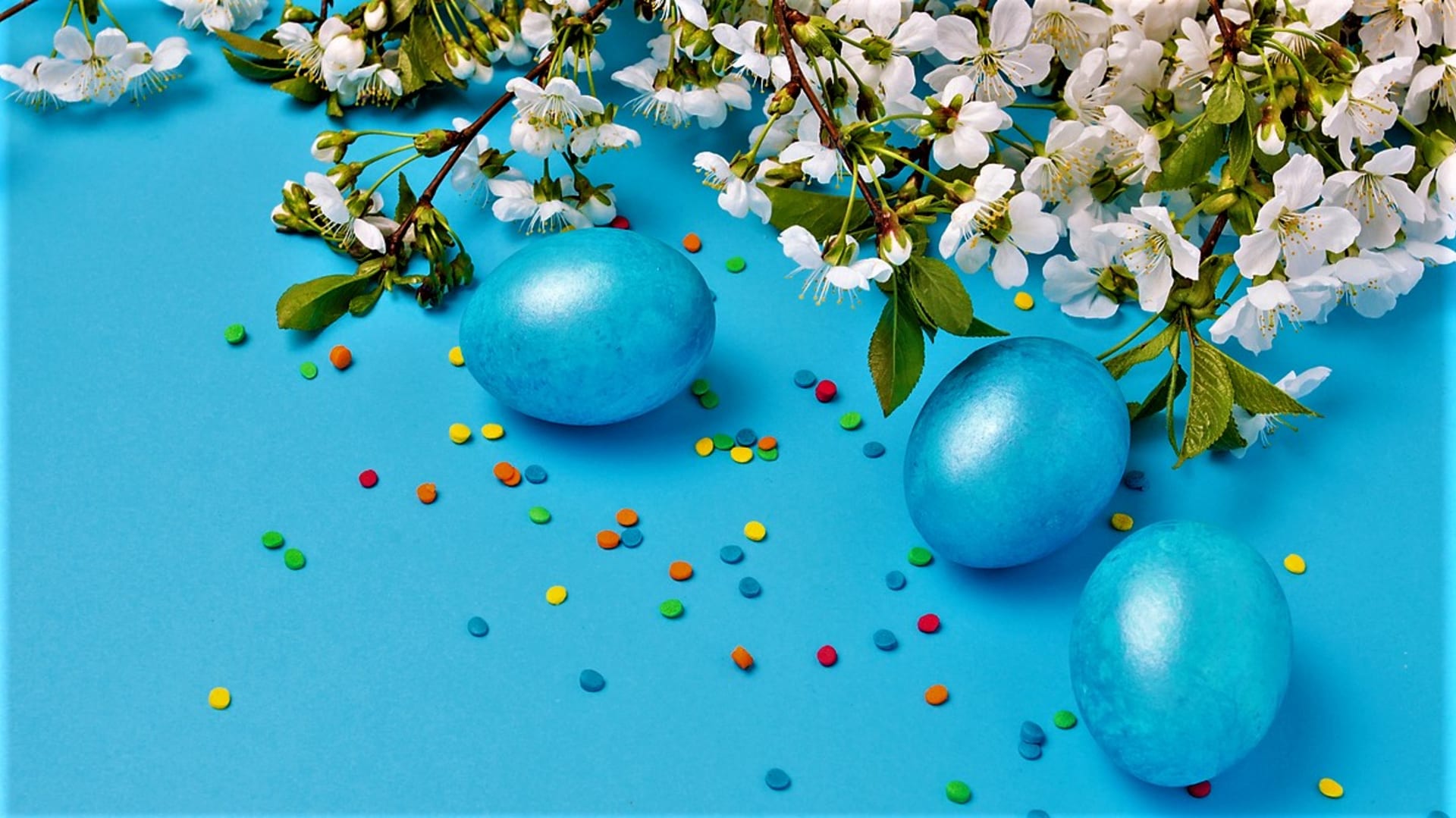 Pokud se nám modrá líbí, můžeme si připravit velikonoční výzdobu v odstínech téhle krásné, leč pro Velikonoce nepříliš tradiční barvy.