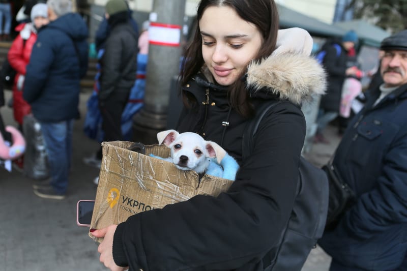 Evakuace ve Lvově, 9. března