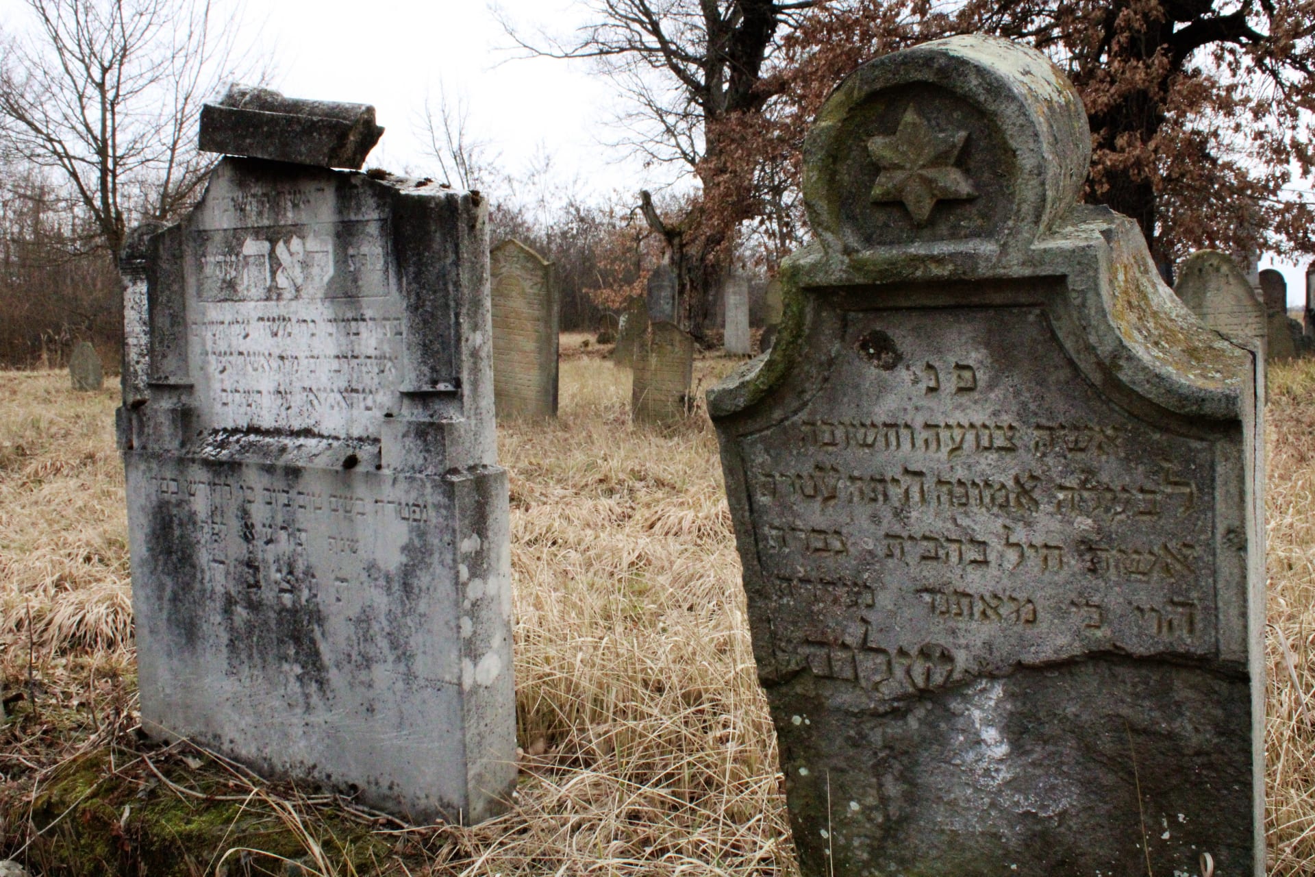 Židovský hřbitov v městečku Sobrance u slovensko-ukrajinských hranic. Židé v oblasti tvořili početnou menšinu, holocaust si na Podkarpatské Rusi vyžádal 104 tisíc obětí.