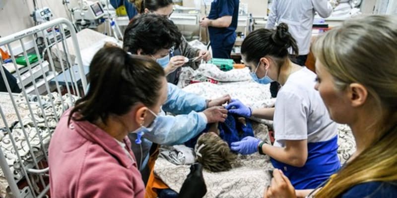 Regionální dětská nemocnice v Záporoží se aktuálně stará o pacienty, kteří utrpěli těžká zranění po ruském ostřelování. Jak dlouho bude mít nemocnice lůžka, není jasné. Snímky vznikly 18. března.