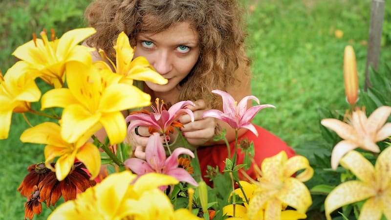 Obklopte se smyslnou vůní květů letních cibulovin. Pěstujte lilie, frézie a  mečík habešský 