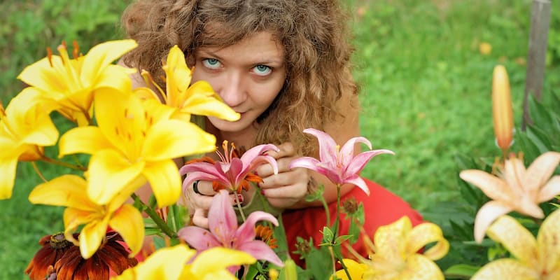 Obklopte se smyslnou vůní květů letních cibulovin. Pěstujte lilie, frézie a  mečík habešský 