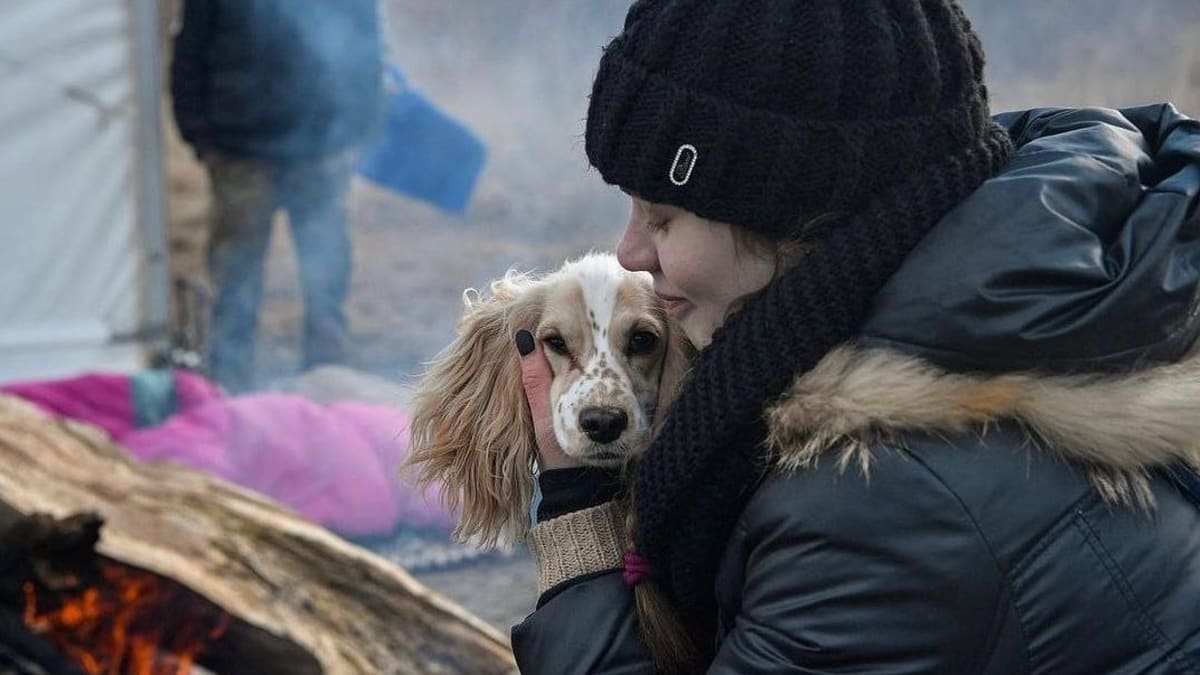 Kvůli válce na Ukrajině opouští zemi lidé i se zvířaty.