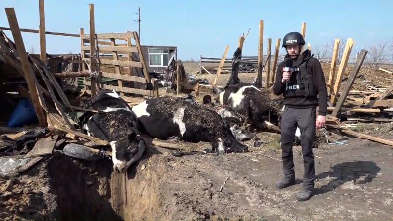 Rusové zabíjejí zvířata místních obyvatel.