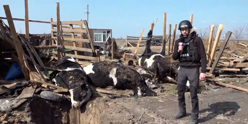 Rusové zabíjejí zvířata místních obyvatel.