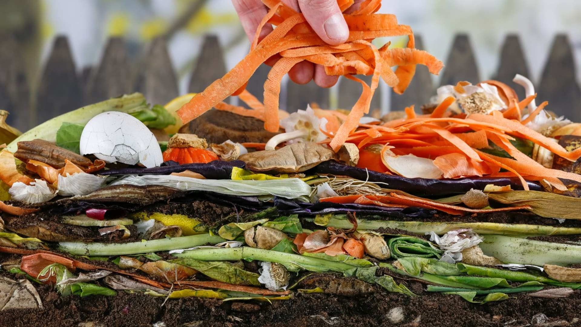 Na zahradní kompost mohou v zásadě putovat jakékoliv organické zbytky z kuchyně a zahrady
