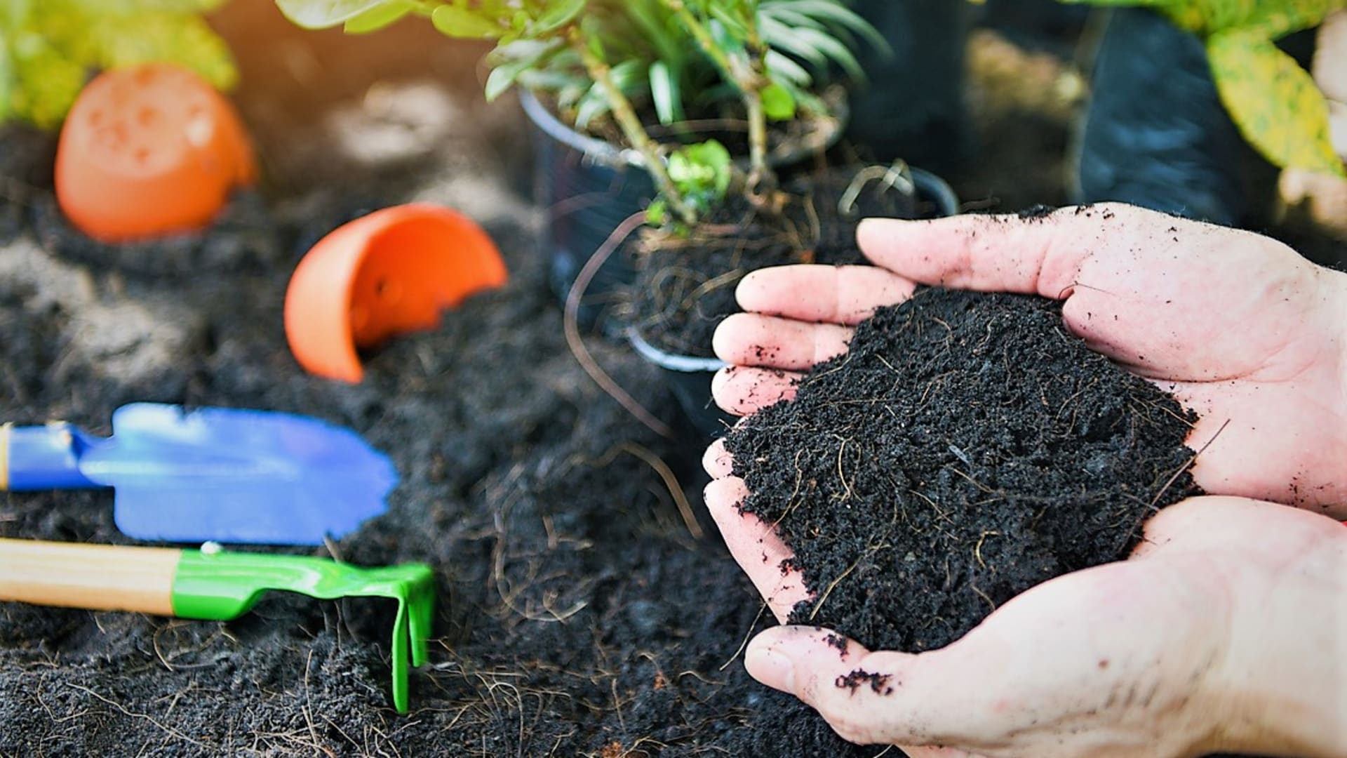 Kompost je poklad každé zahrady. Základní pravidla kompostování
