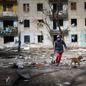 Žena se psem v Mariupolu, 29. března