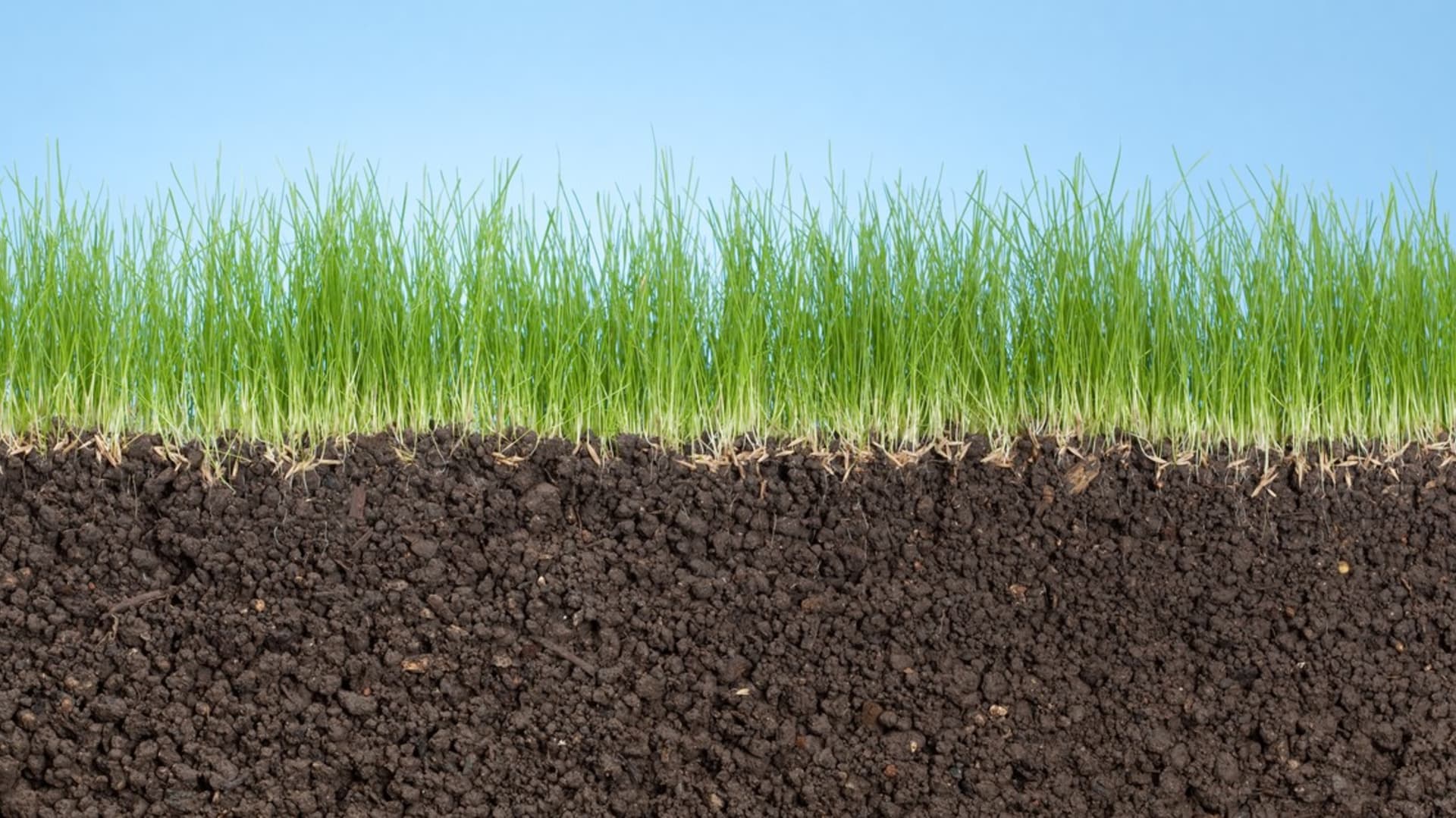 Příprava půdy je základem úspěchu. Trávník vyžaduje na živiny bohatou a dobře propustnou zeminu, pro založení kvalitního trávníku je potřeba minimálně 15cm vysoká vrstva půdy.