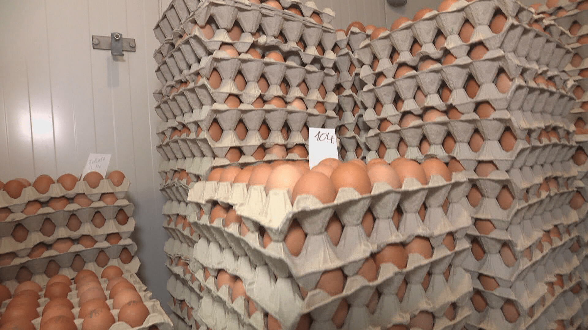 Vajíčka letos nakoupíme o několik korun dráž než loni.