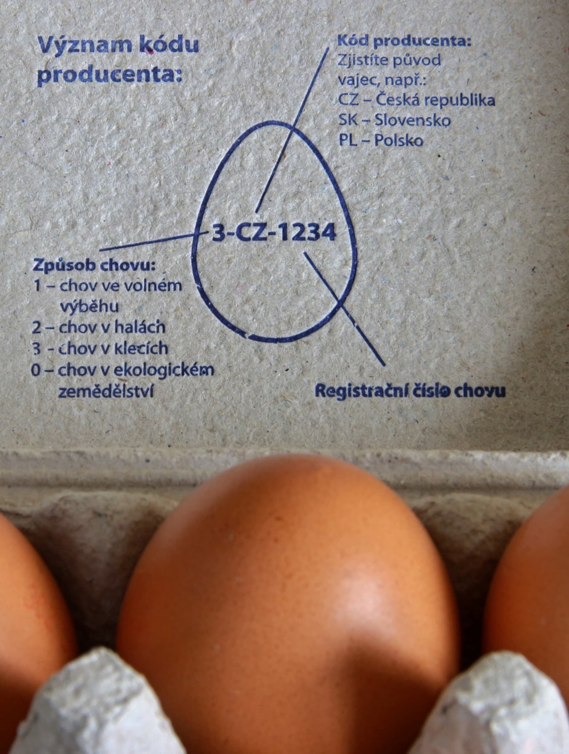 Popis identifikačního kódu na obalu od vajec.