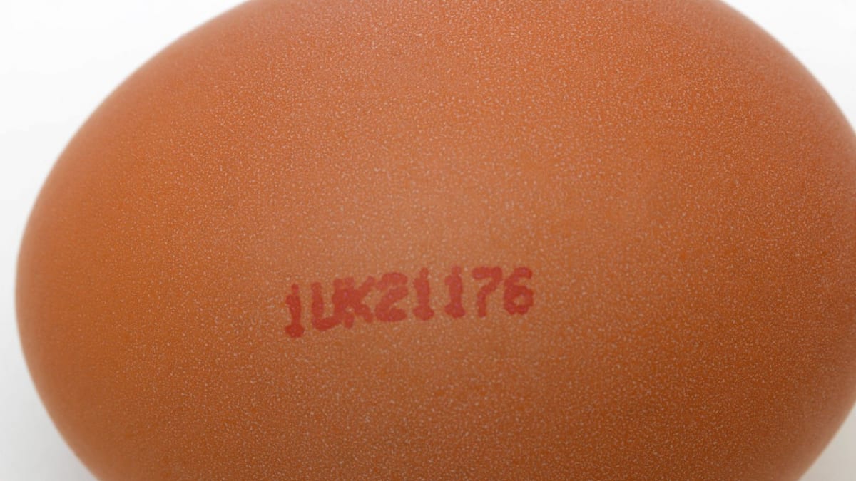 Identifikační kód na vejci