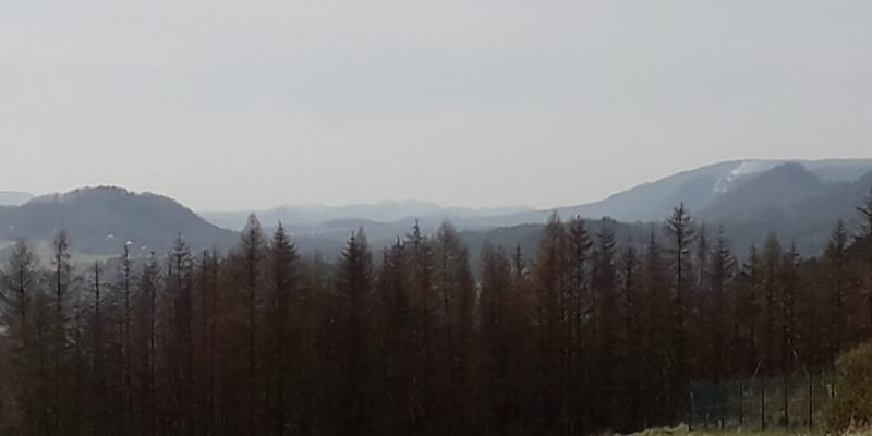 Požár lesu v Českém Švýcarsku