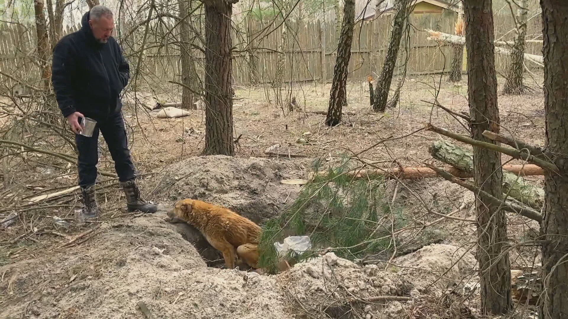 Tohoto psa podle obyvatel Berezivky chytli ruští vojáci a kopali do něj. Zvíře má zlomenou kyčel