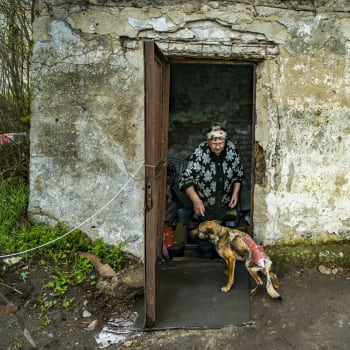 Žena se stará o zraněného psa ve městě Mykolajiv.