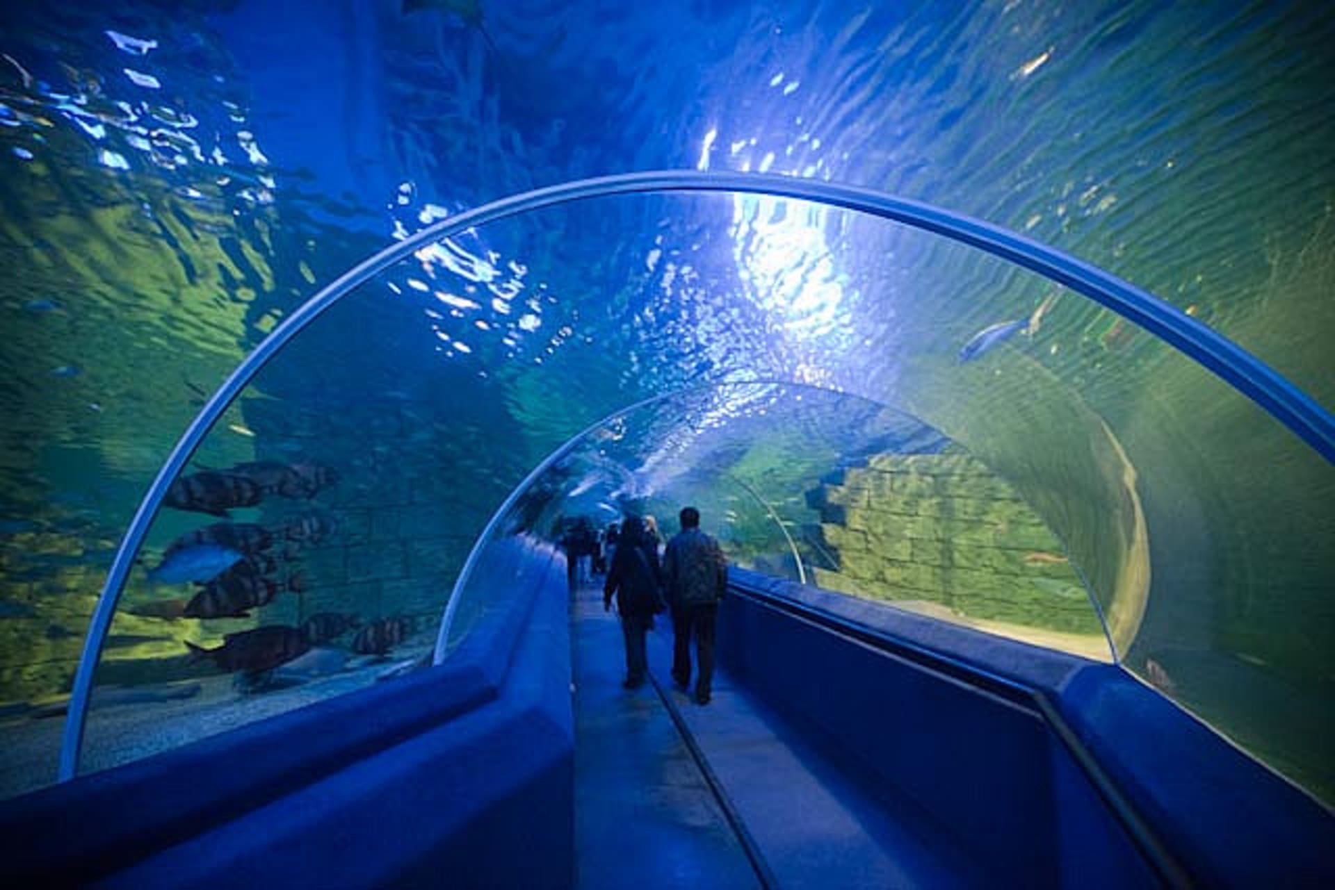 Největší a nejkrásnější akvária světa 