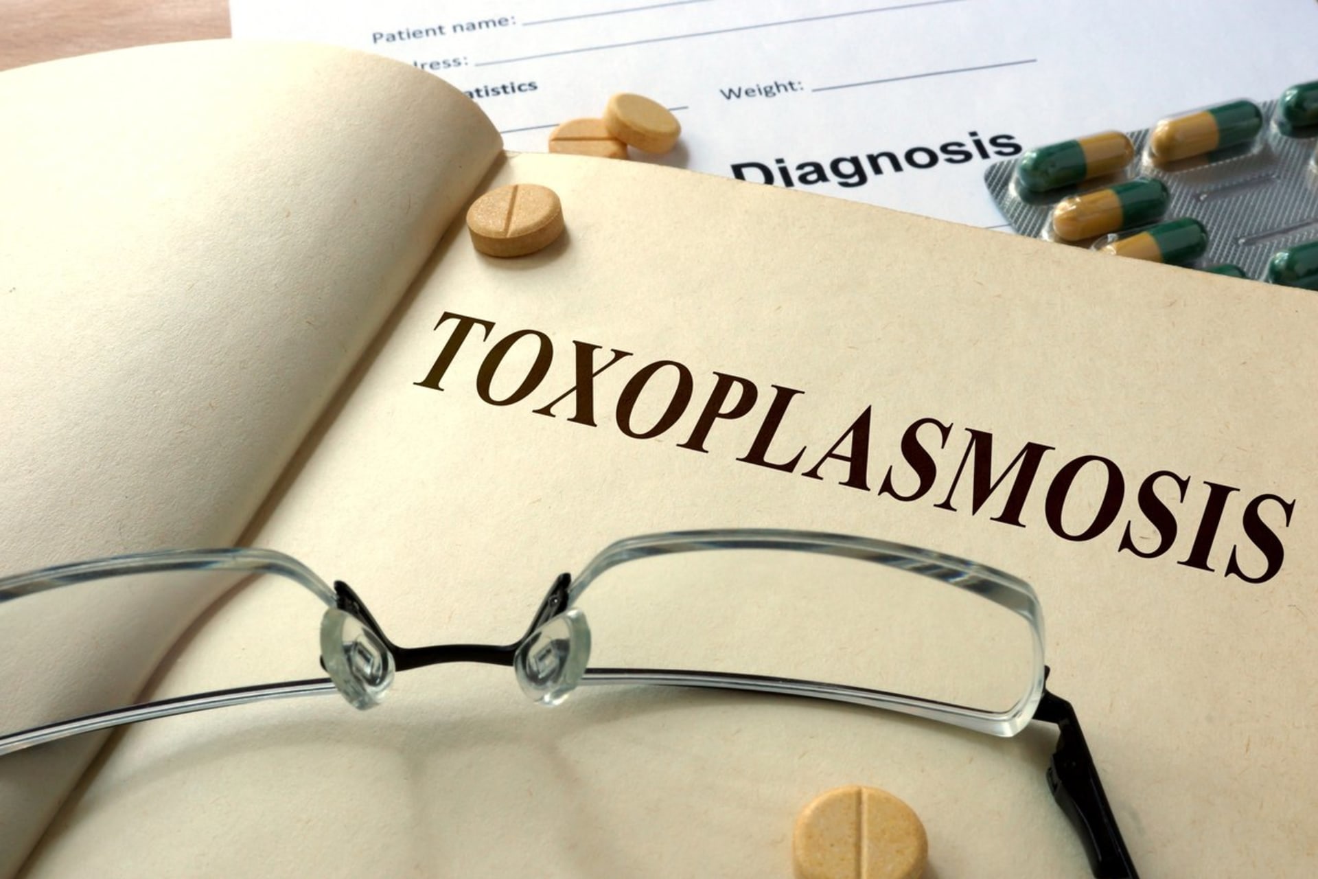 třetina české populace je nakažena toxoplazmózou