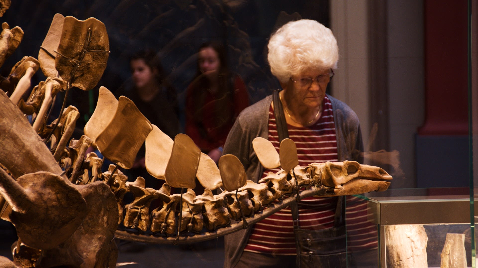 Dinosaurus v berlínském Přírodovědném muzeu