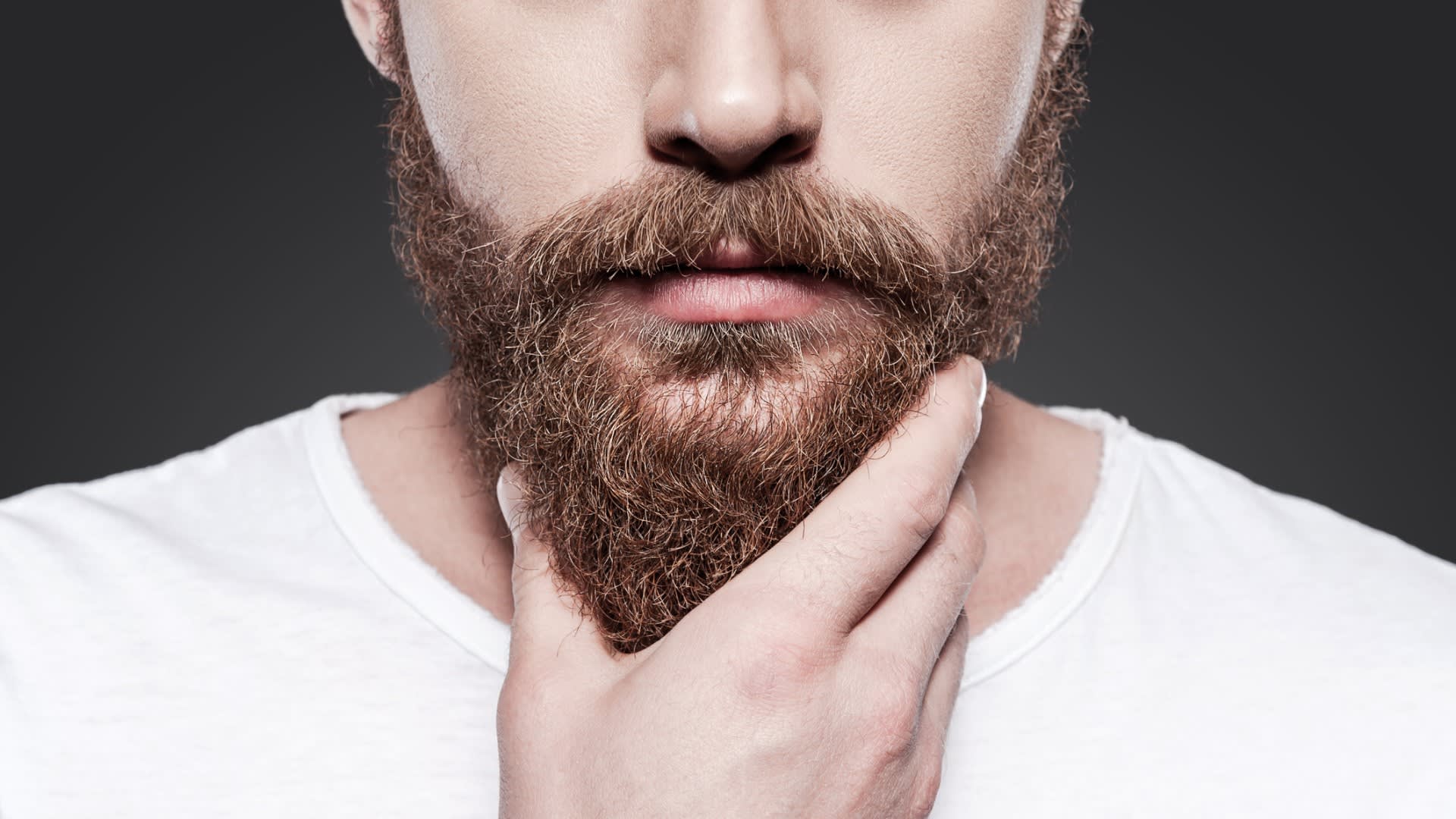 V čem jsou vousy evolučně výhodné?