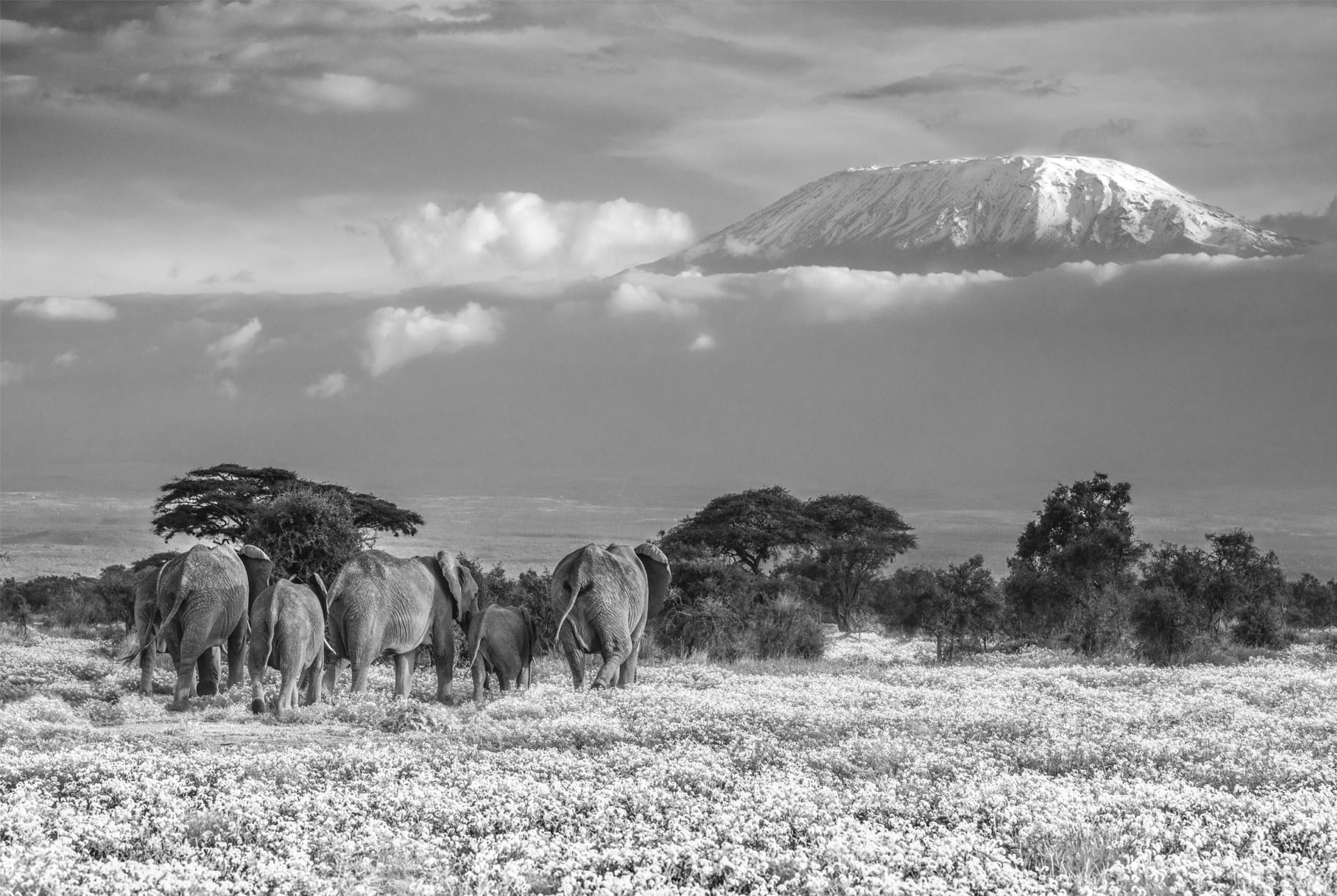 Národní park Amboseli - Keňa