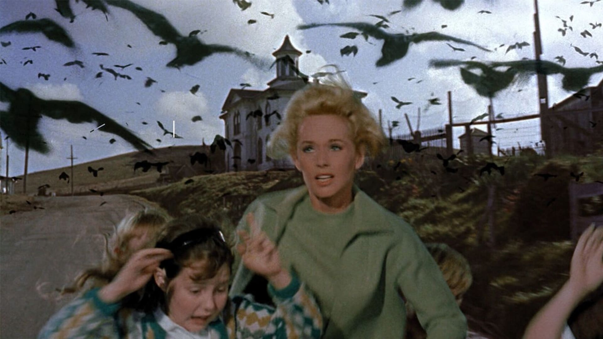 Hitchcockův film vysvětlení útoku ptačího hejna nenabízí