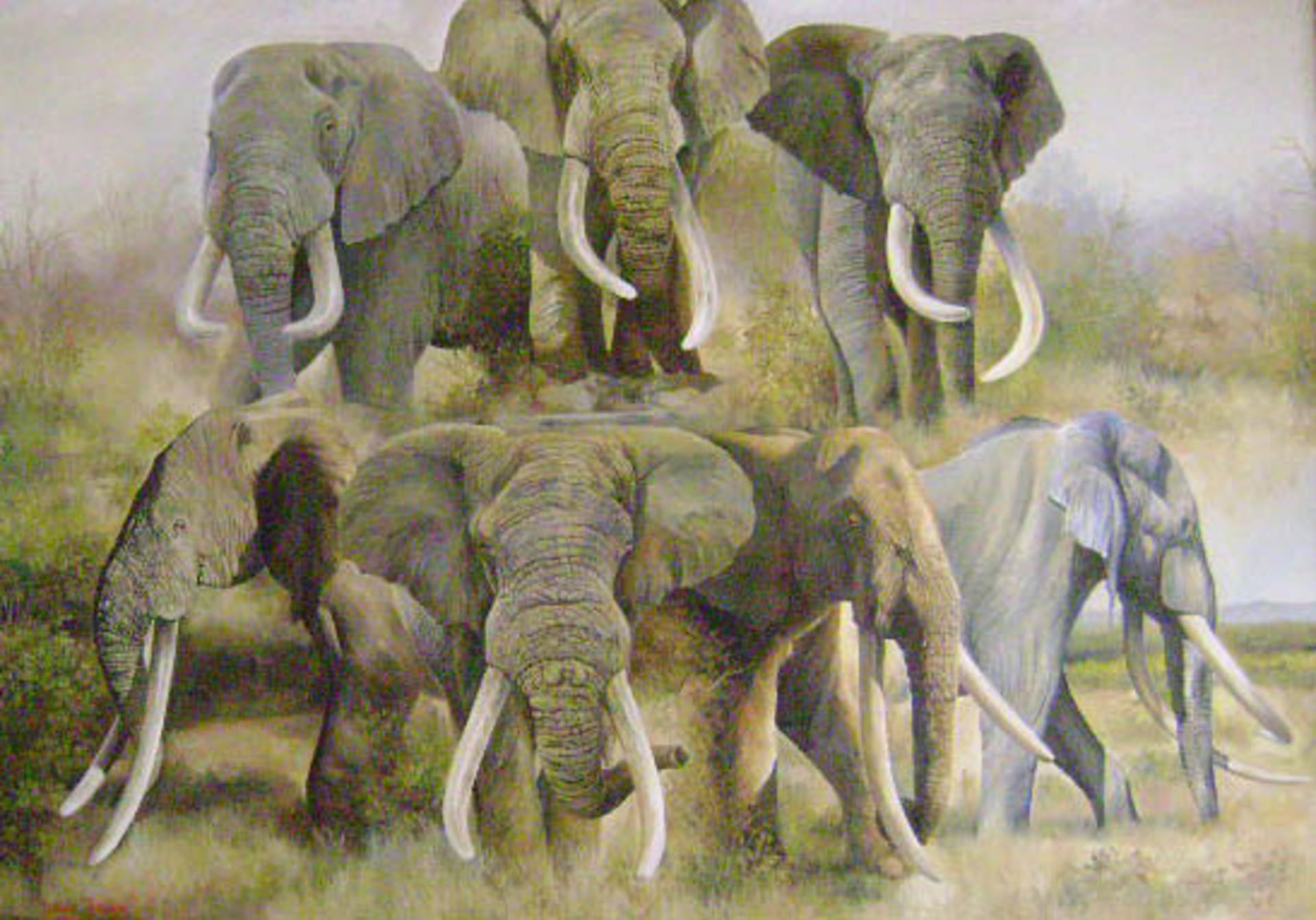 Sedm sloních statečných