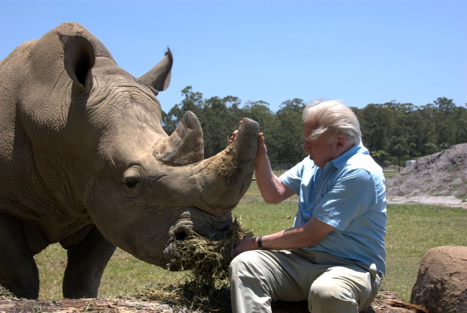 David Attenborough, Počátky života
