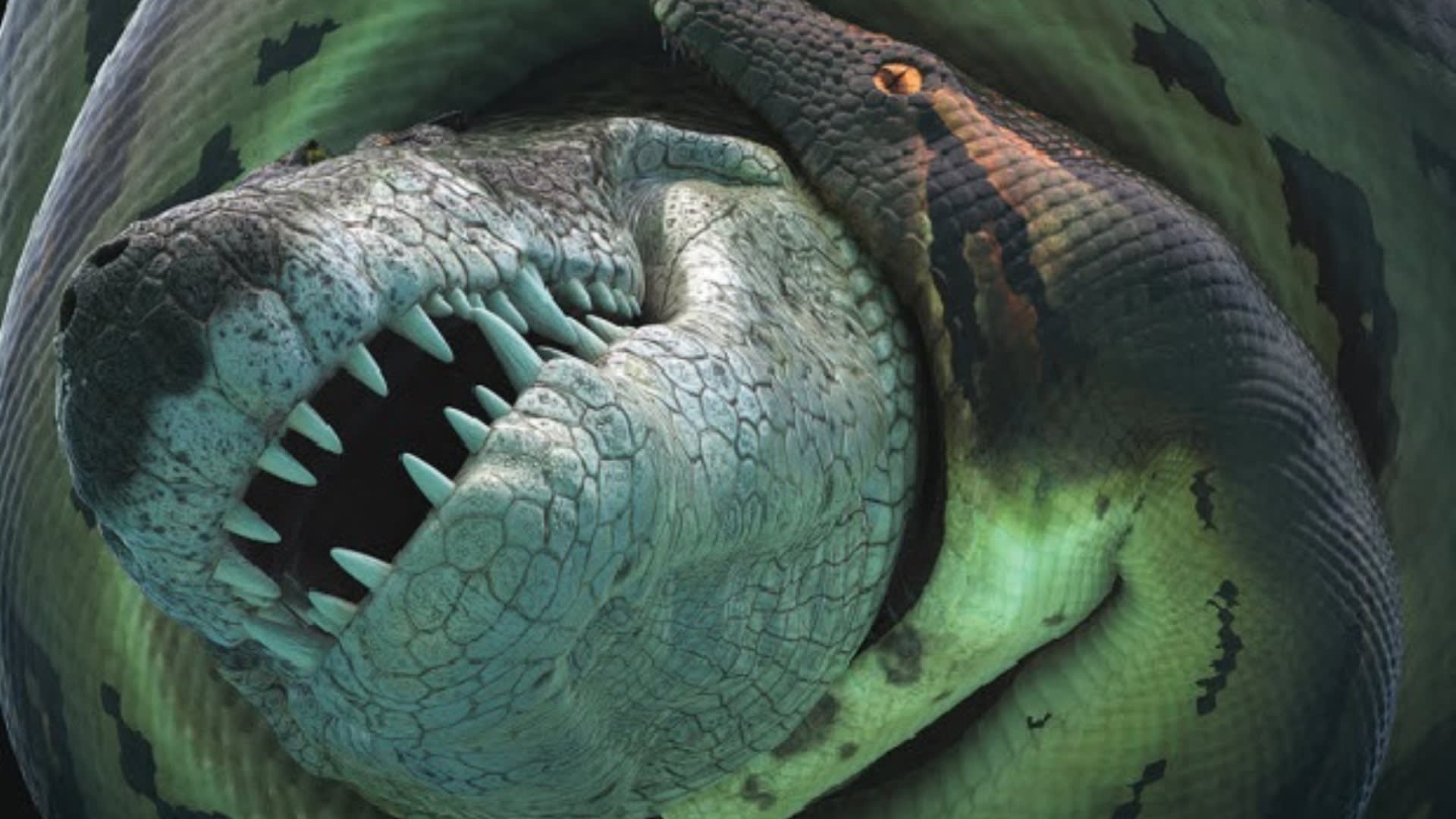 Titanoboa vs. krokodýl