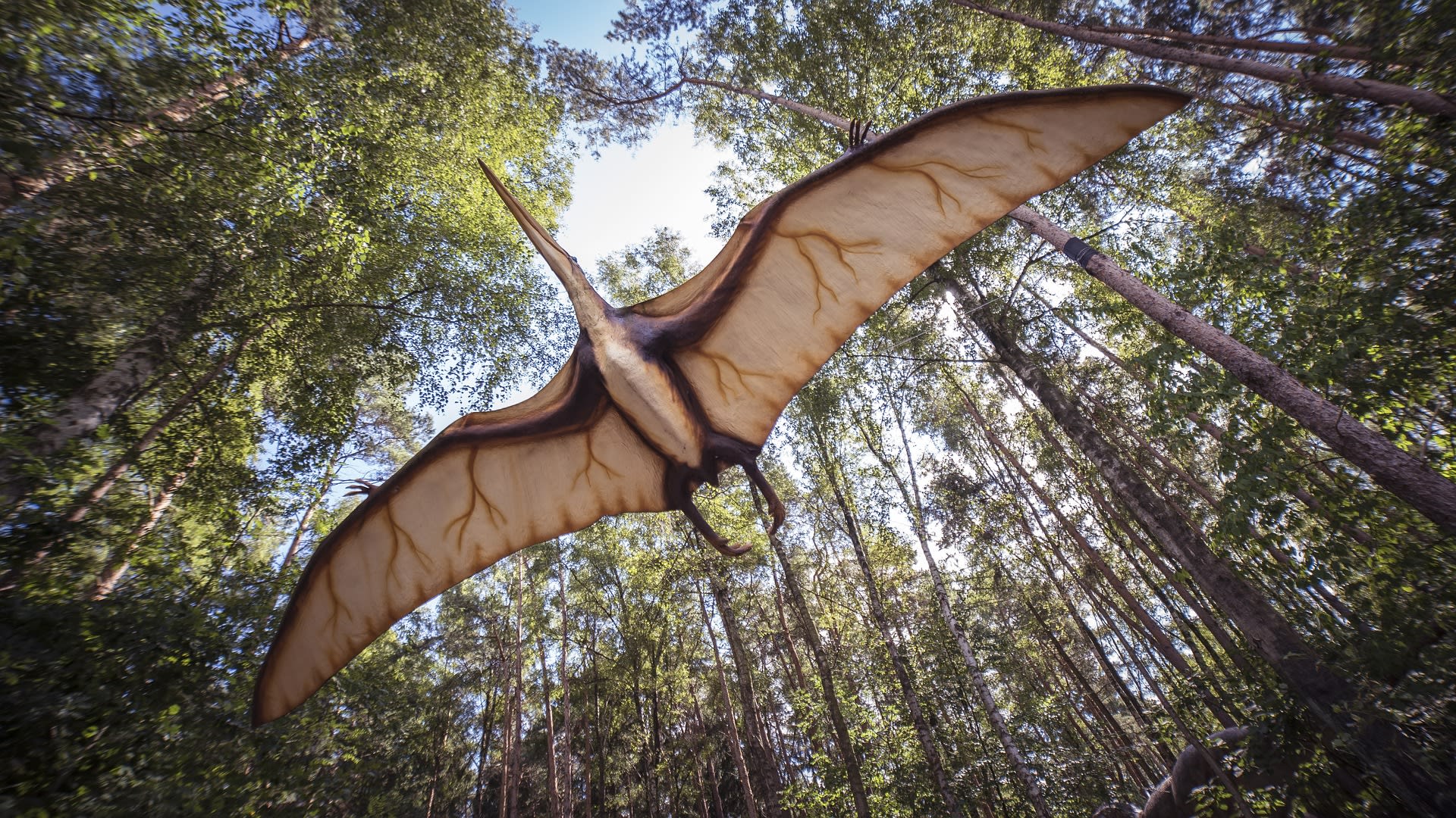 Pterosaurus patří mezi druhy, které nadobro vymizely