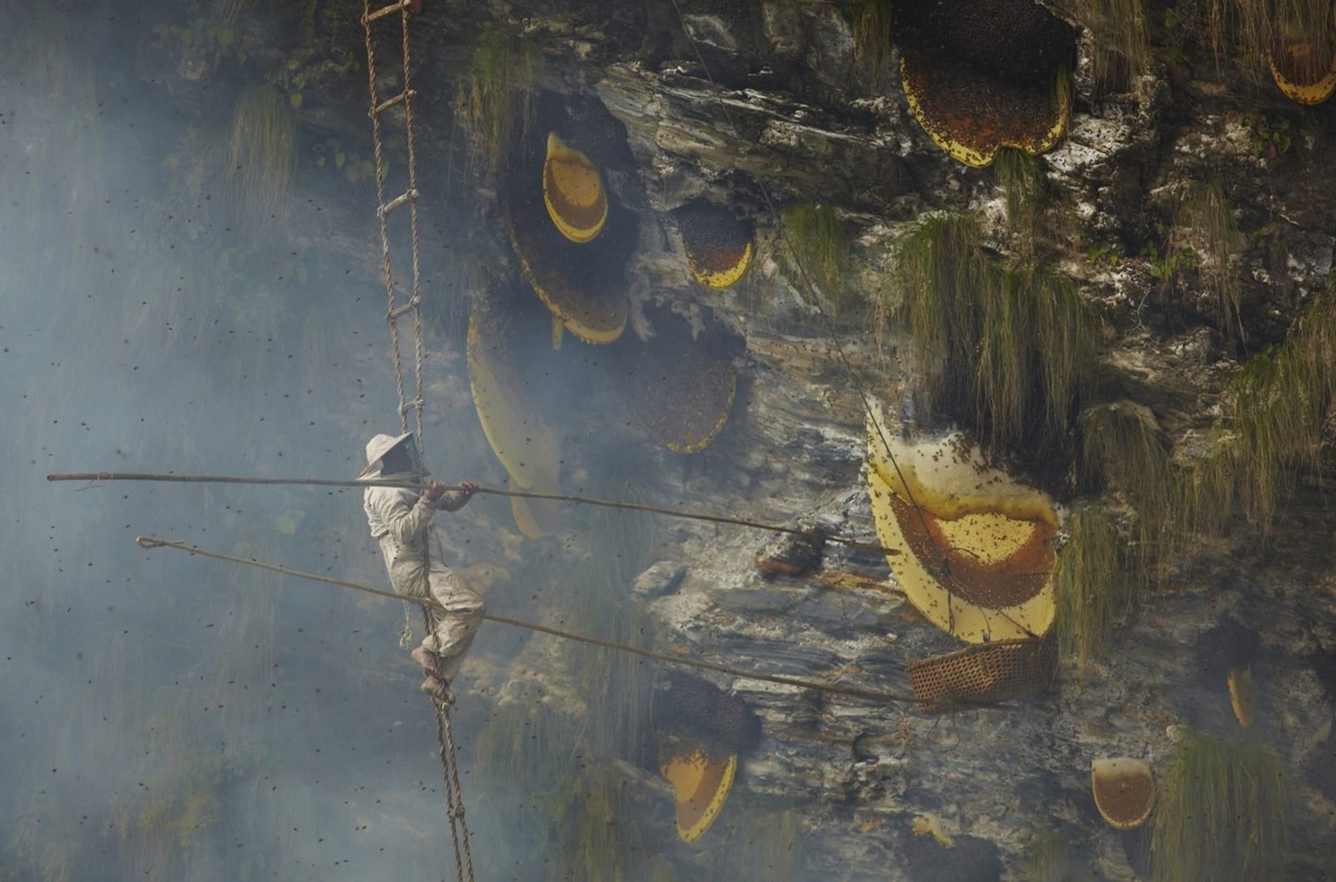 Nepálští lovci medu v akci