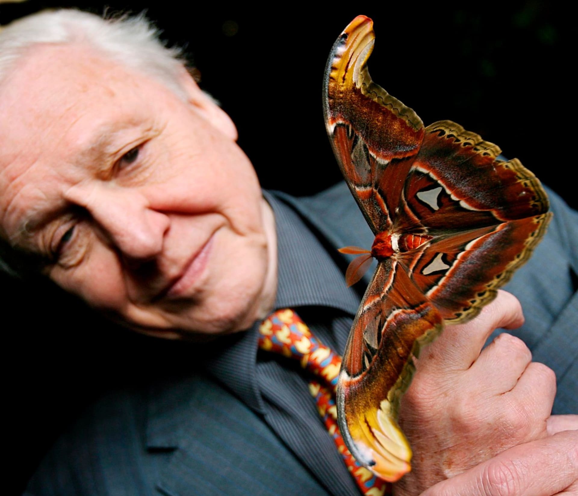 Sir David Attenborough s motýlem