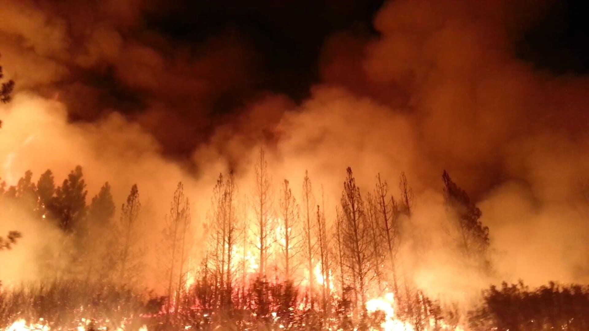 Lesní požár - ilustrační foto