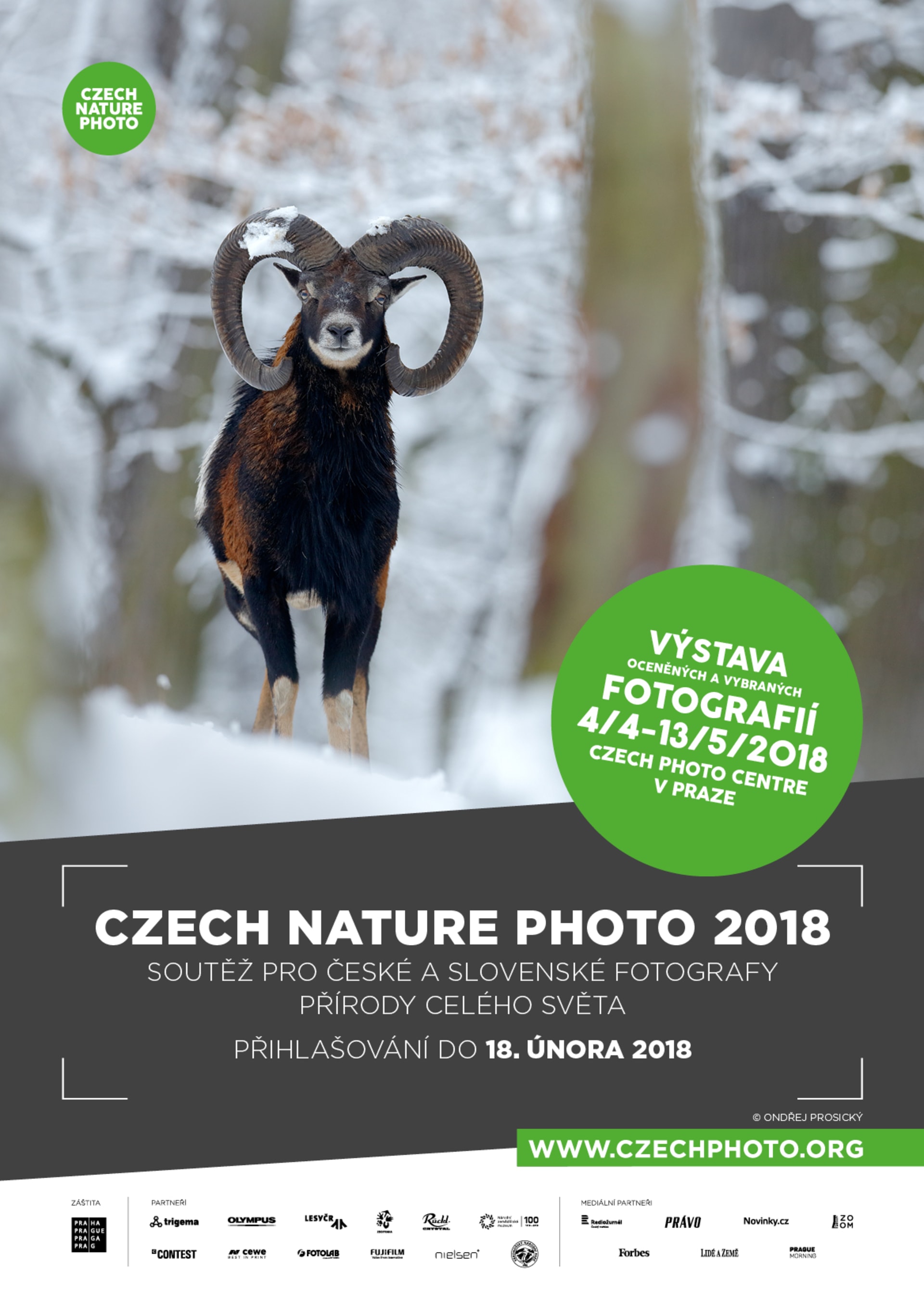 Czech Nature Photo 2018