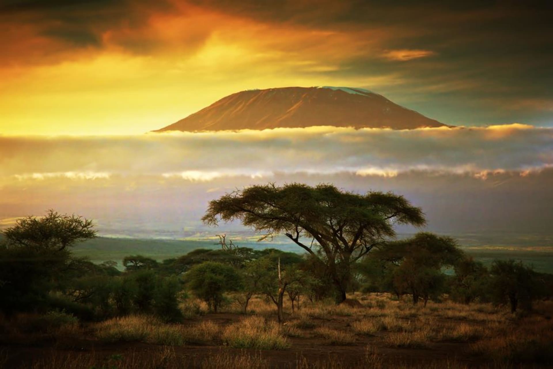 Amboseli - Kilimandžáro