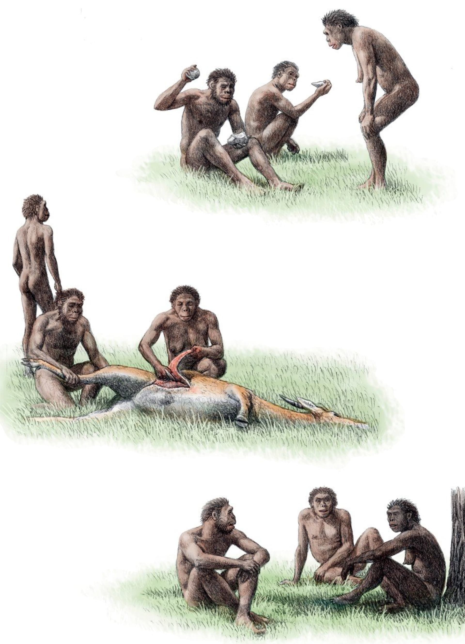 Předávání dovedností odlišilo člověka od zvířat - tlupa příslušníků Homo ergaster