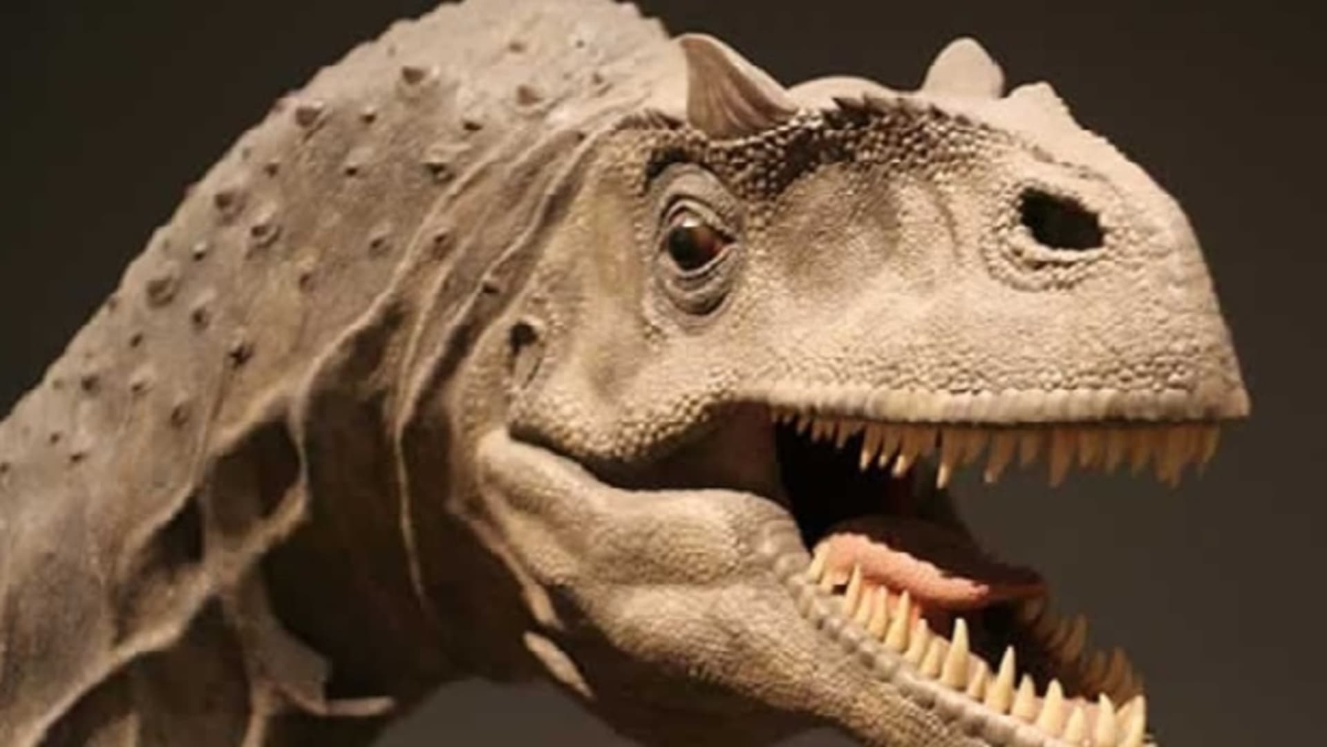 Předchodcem tyranosaura byl allosaurus