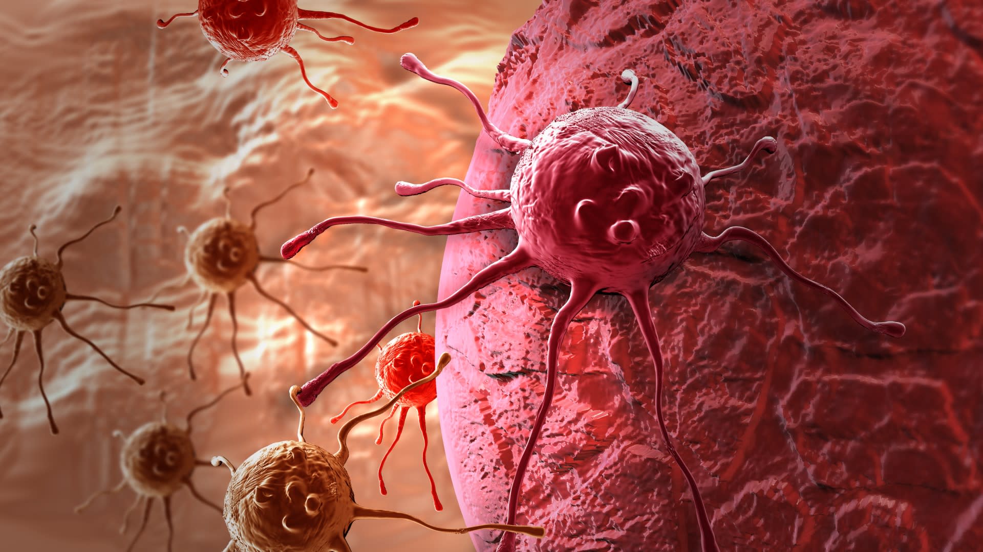 Rakovinové buňky jsou děsivé, které jsou však nejsilnější?