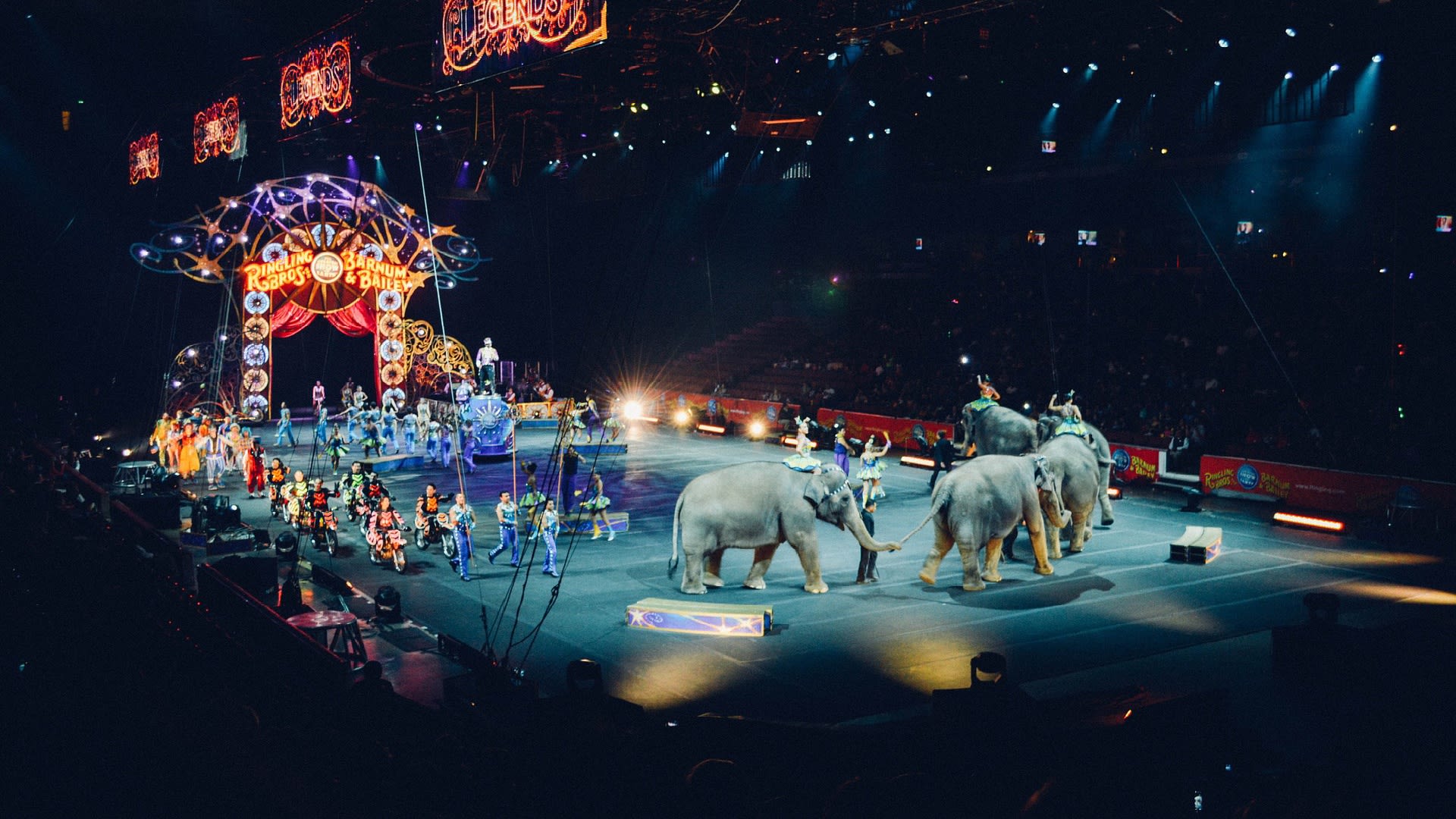Sloni v cirkuse