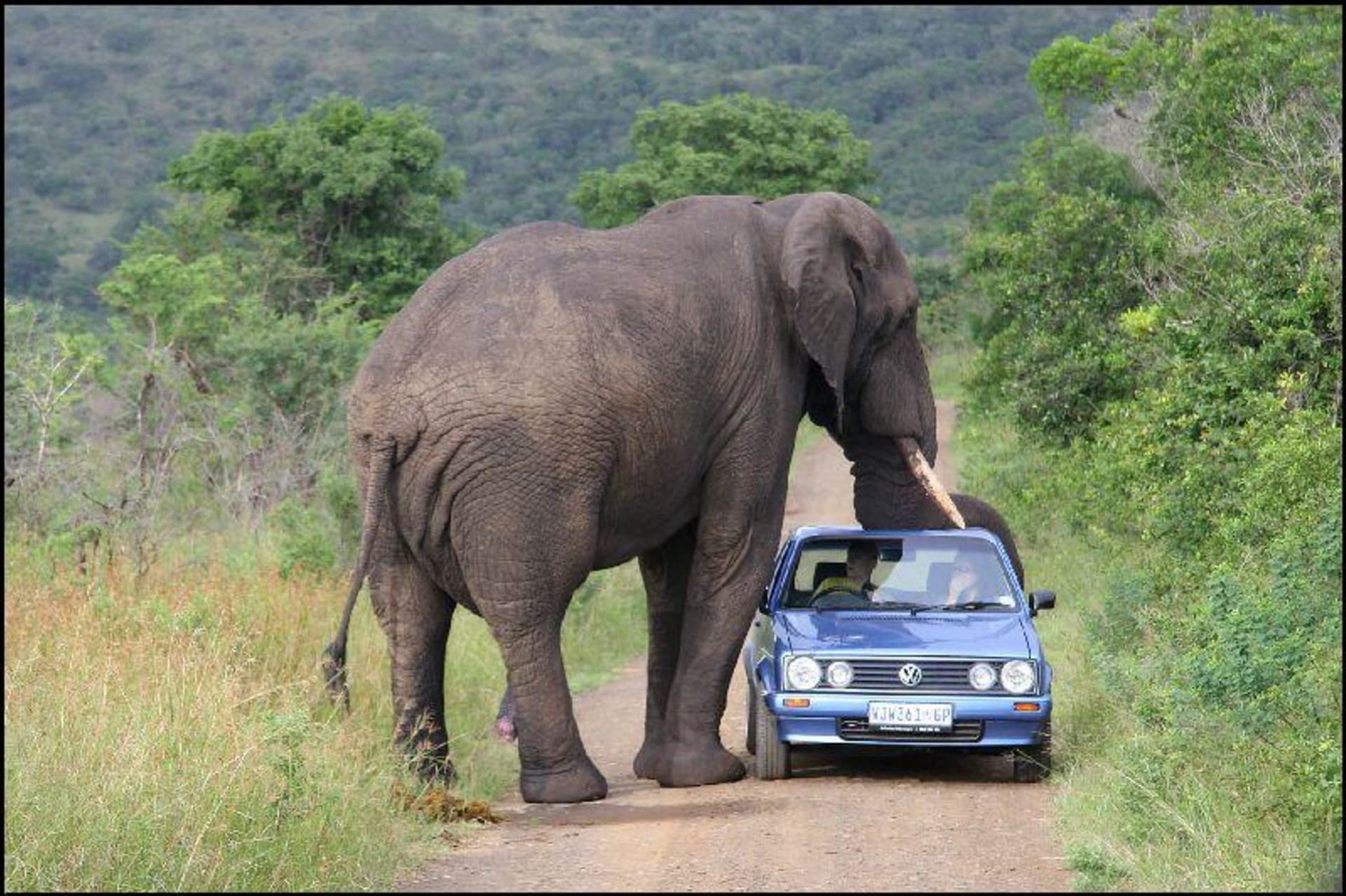Slon a auto